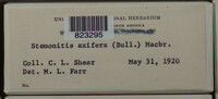 Image Associated With the Occurence
